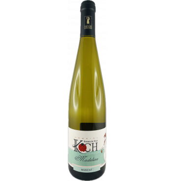 Muscat 2023 BIO "Cuvée...