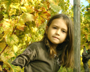 Les vendanges